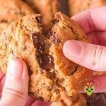 Breaking one of the chocolate chip cinnamon cookies with ooey gooey chocolate chips and Fall spices. You can seethe soft middle and crunchy edges.