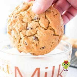Dunking one of the chew and crispy chocolate chip cookies in a glass of milk.