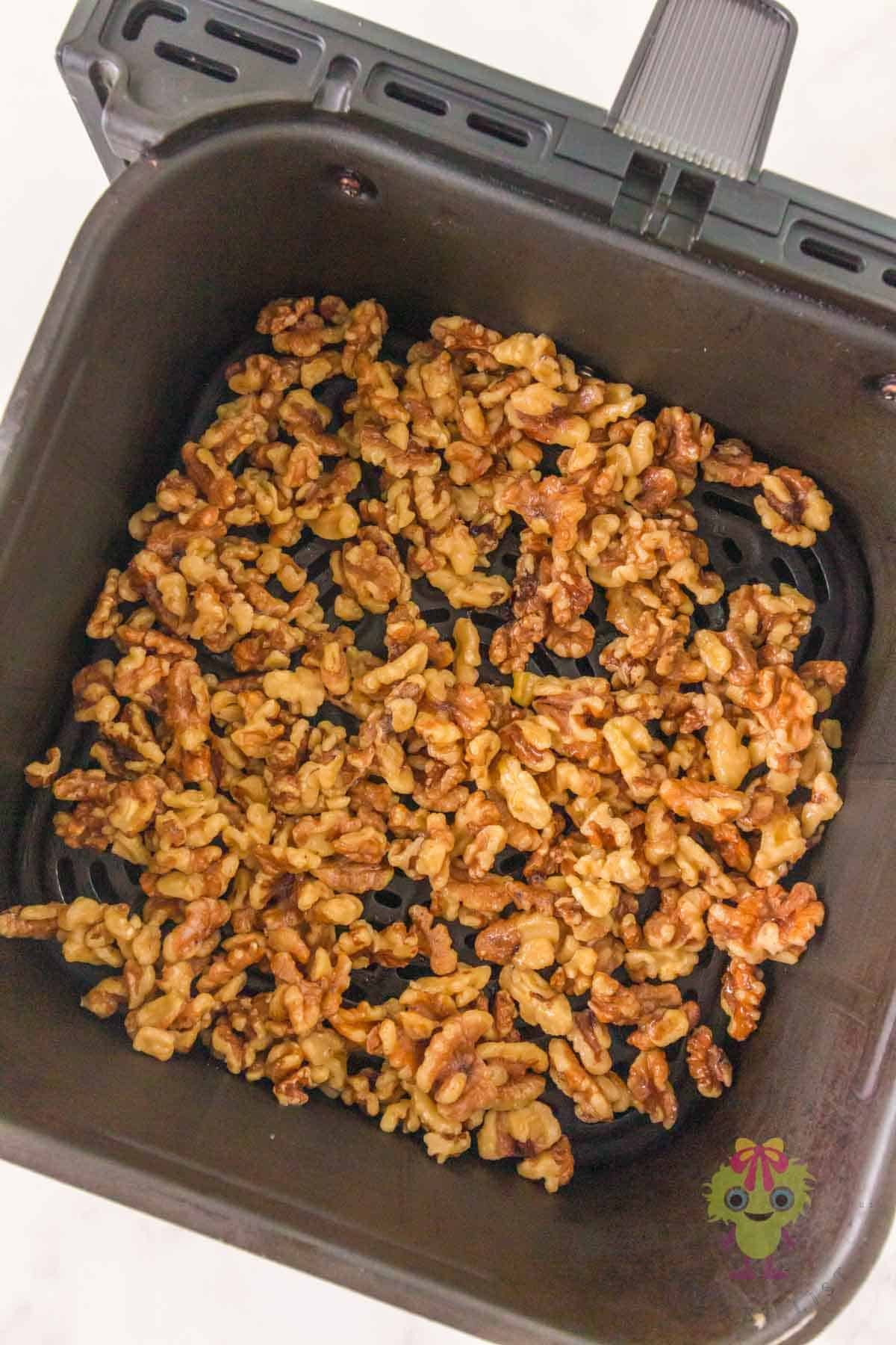 Honey and cinnamon coated walnuts are evenly spread over the bottom of the air fryer basket, ready to be roasted.